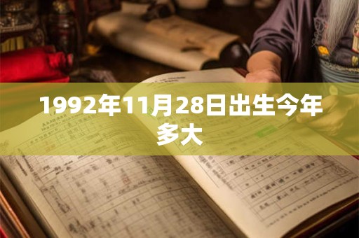 1992年11月28日出生今年多大