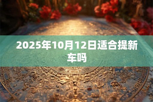 2025年10月12日适合提新车吗