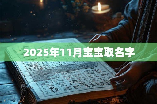 2025年11月宝宝取名字