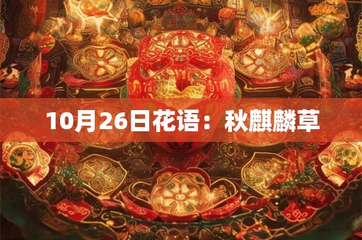 10月26日花语：秋麒麟草