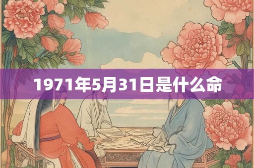 1971年5月31日是什么命