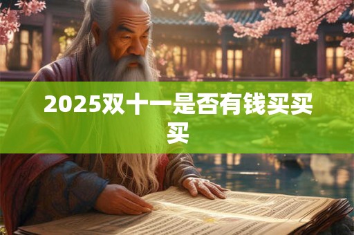 2025双十一是否有钱买买买