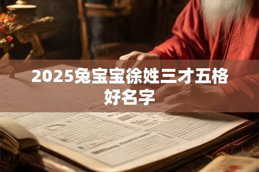 2025兔宝宝徐姓三才五格好名字