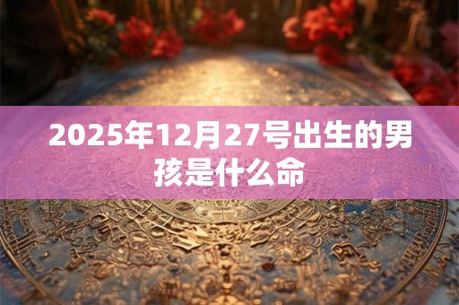 2026年12月27号出生的男孩是什么命