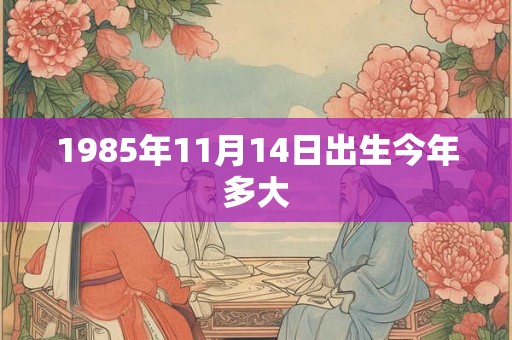 1985年11月14日出生今年多大