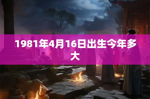 1981年4月16日出生今年多大