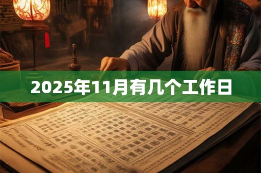 2025年11月有几个工作日