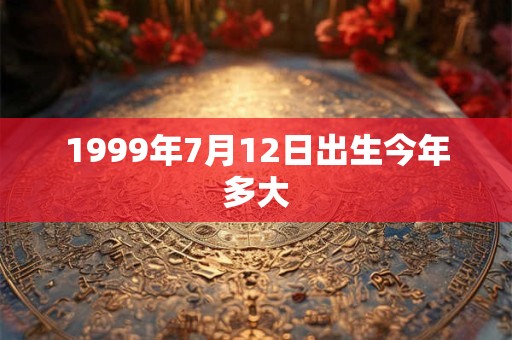 1999年7月12日出生今年多大