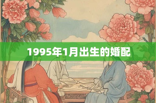1995年1月出生的婚配