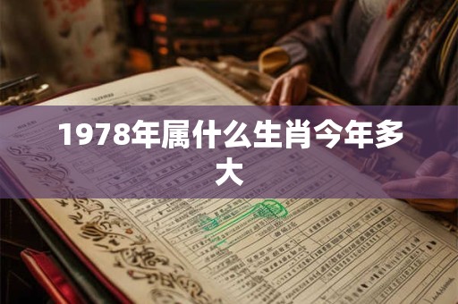 1978年属什么生肖今年多大