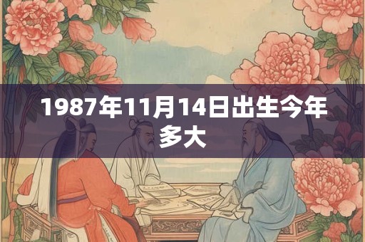 1987年11月14日出生今年多大