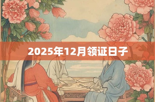 2025年12月领证日子