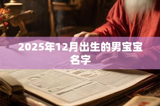 2025年12月出生的男宝宝名字