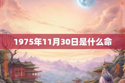 1975年11月30日是什么命