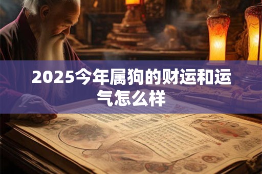 2025今年属狗的财运和运气怎么样
