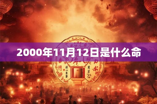 2000年11月12日是什么命