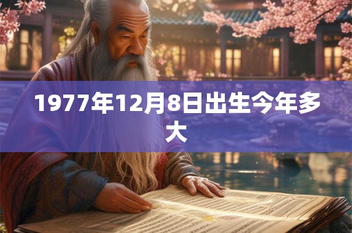 1977年12月8日出生今年多大