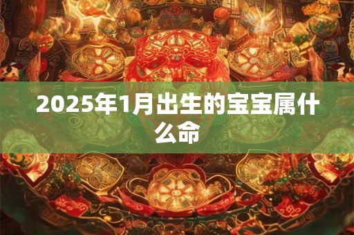 2025年1月出生的宝宝属什么命