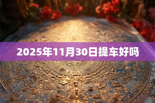 2025年11月30日提车好吗