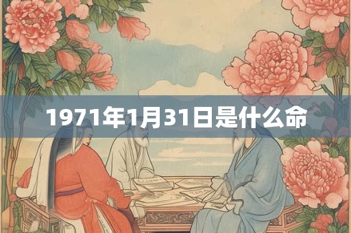 1971年1月31日是什么命