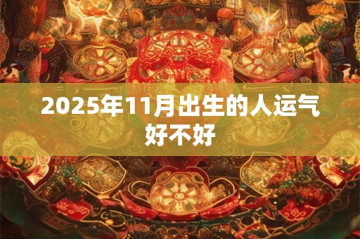 2025年11月出生的人运气好不好