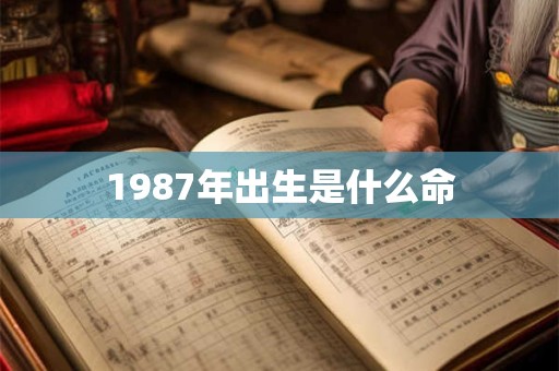 1987年出生是什么命