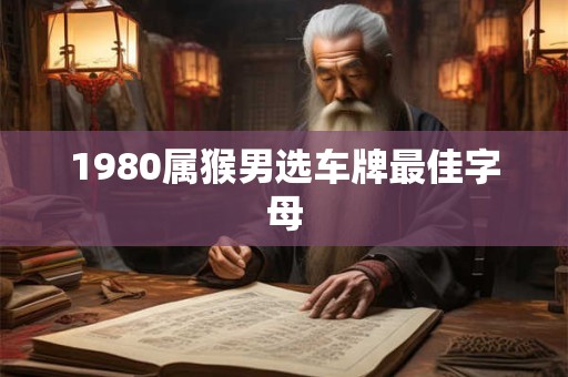 1980属猴男选车牌最佳字母