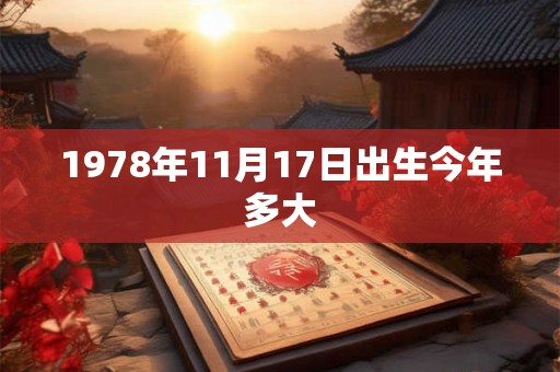 1978年11月17日出生今年多大
