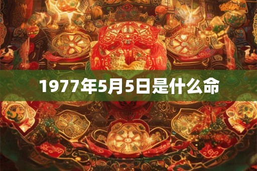 1977年5月5日是什么命