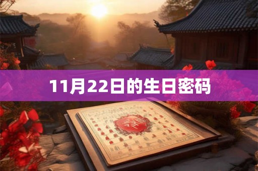 11月22日的生日密码