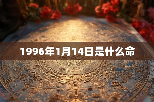 1996年1月14日是什么命