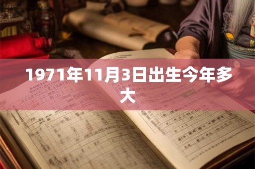 1971年11月3日出生今年多大