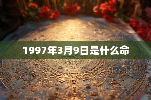 1997年3月9日是什么命