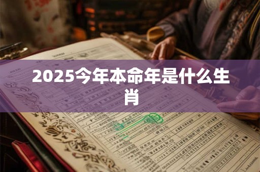 2025今年本命年是什么生肖