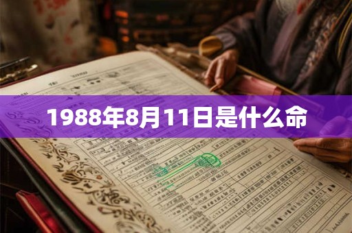 1988年8月11日是什么命