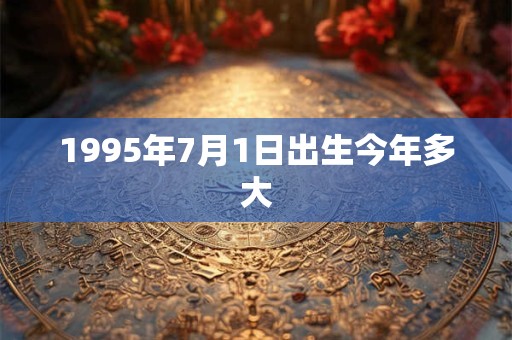 1995年7月1日出生今年多大