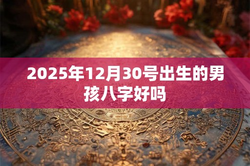 2025年12月30号出生的男孩八字好吗