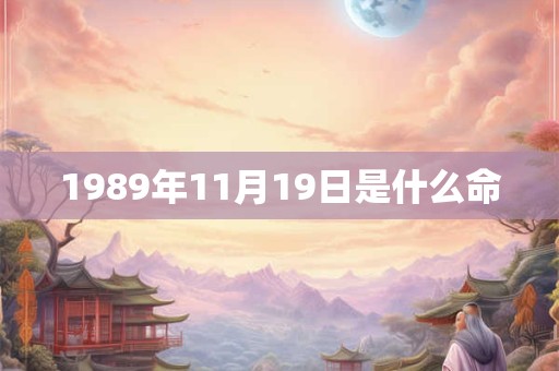 1989年11月19日是什么命