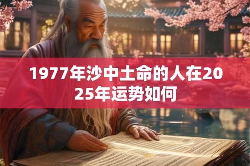1977年沙中土命的人在2025年运势如何