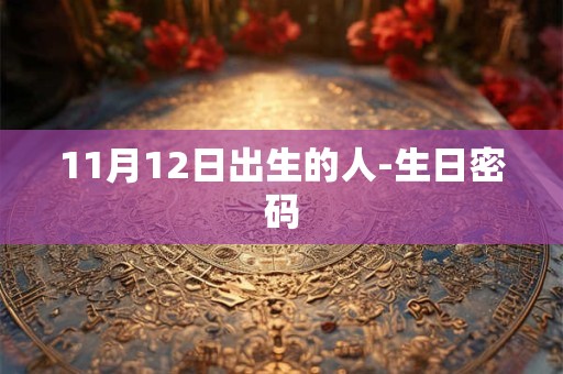 11月12日出生的人-生日密码