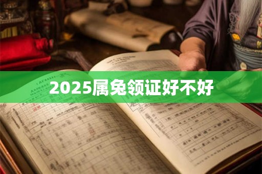 2025属兔领证好不好
