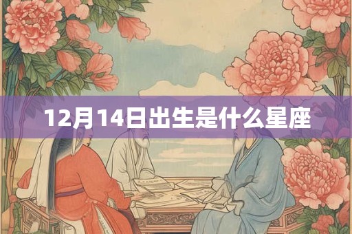 12月14日出生是什么星座
