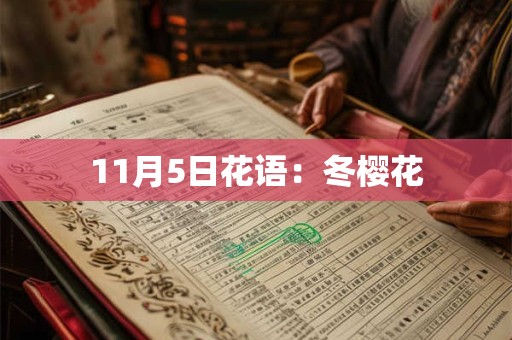 11月5日花语：冬樱花