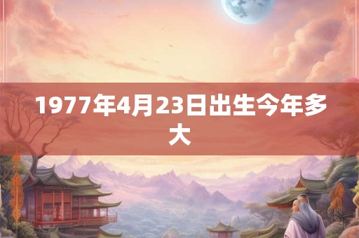 1977年4月23日出生今年多大