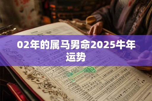 02年的属马男命2025牛年运势