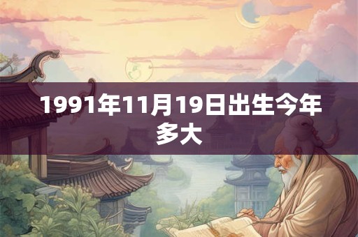 1991年11月19日出生今年多大