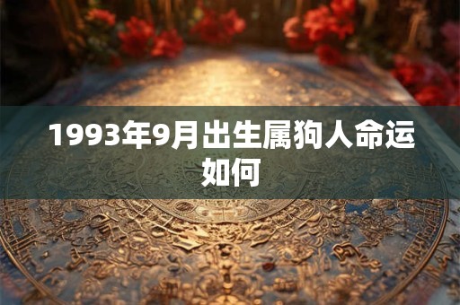 1993年9月出生属狗人命运如何