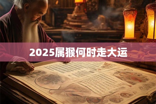 2025属猴何时走大运