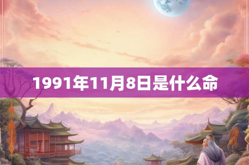 1991年11月8日是什么命