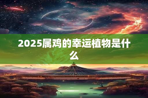 2025属鸡的幸运植物是什么
